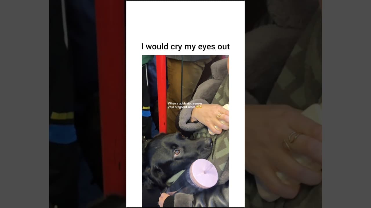 He’s gonna be thinking about this later 🥹 (Cr/TT/dannibenattar)