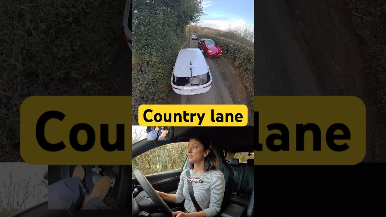 Squeeze past 😭 #driving #car #country #road