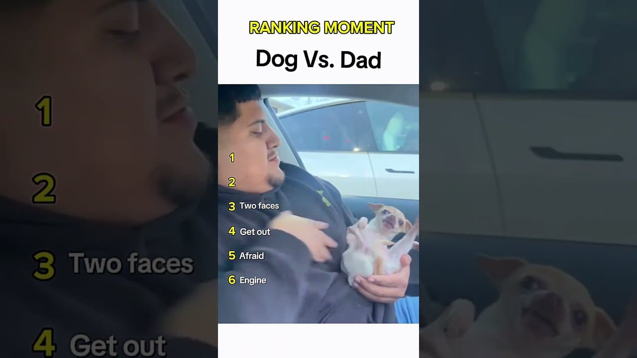 Dogs being idiots part 30: Dog vs Dad 🤣 #funnydog #funnypet #cutedog #dogshorts