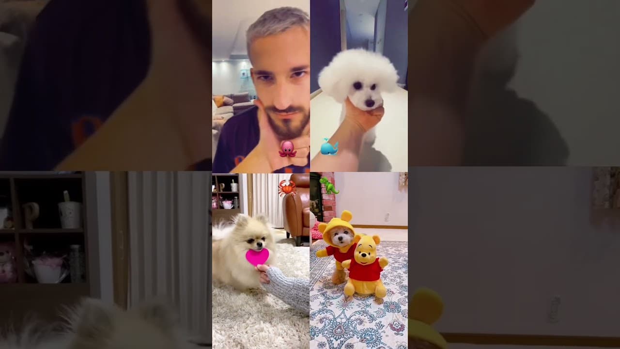 Who is Your Best⁉💥💧 Pinned Your Cmt 📌 #funny #tiktokviralvideo  #tiktokviral #tiktoktrending#135