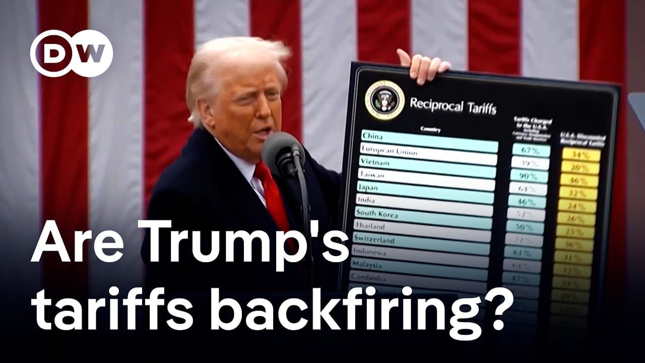 What the world got wrong about tariffs | DW Business