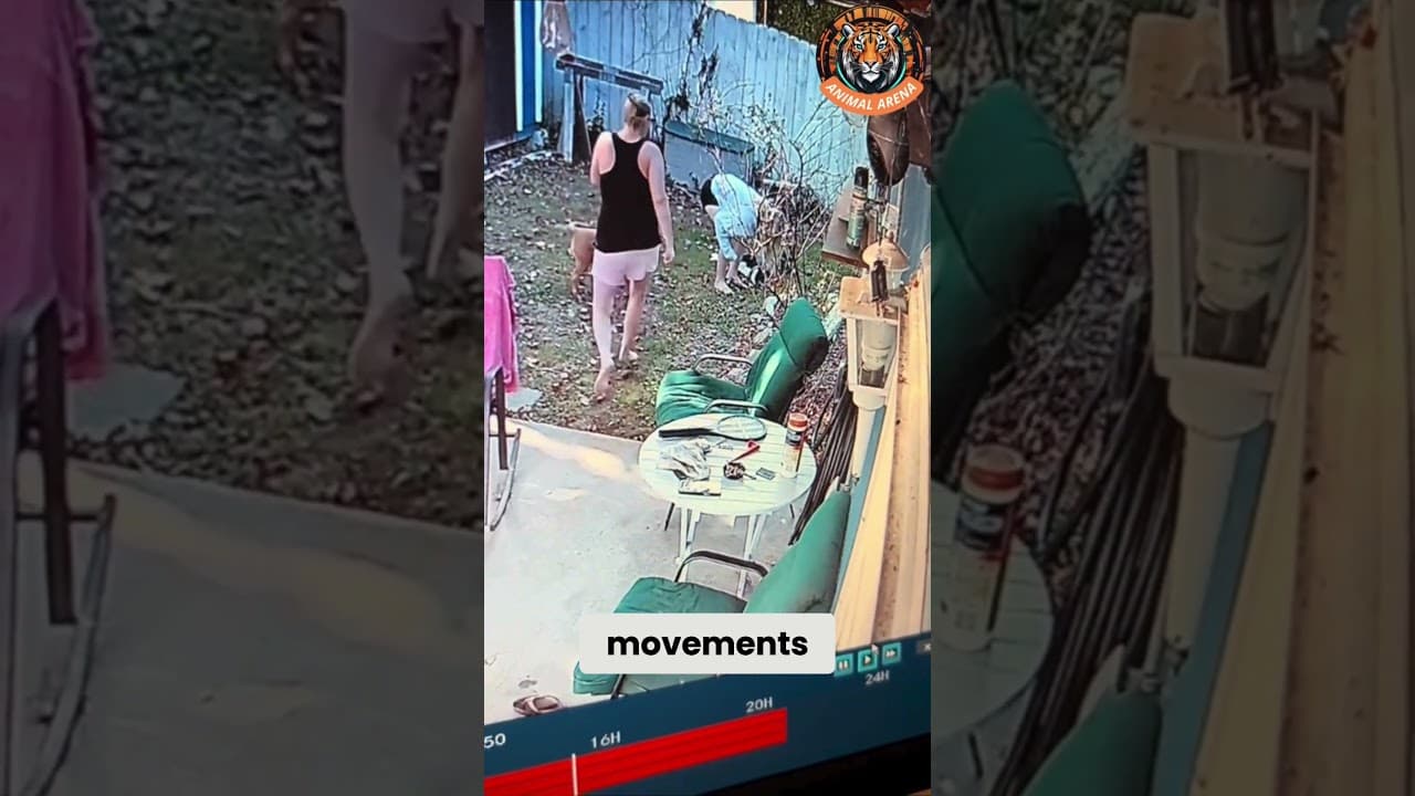 Dog’s Instinct Saves the Day!