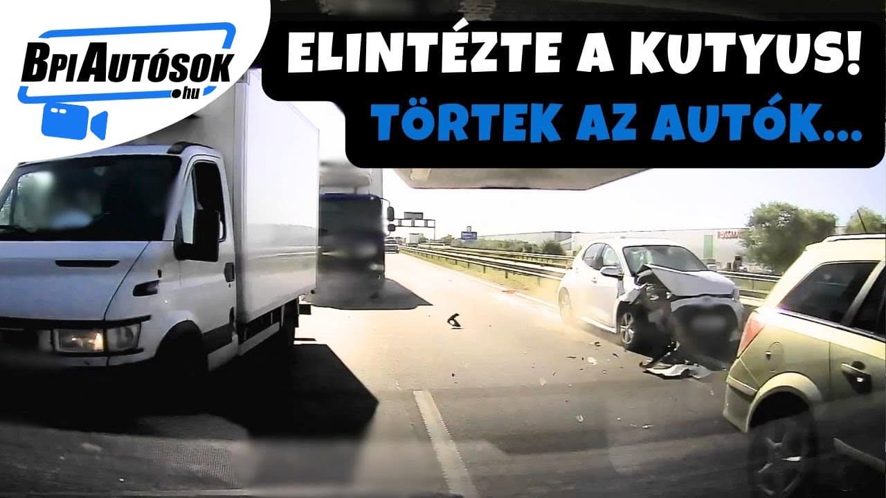 Kutya miatt öt jármű ütközött az M4-esen – olvasónk bravúrosan úszta meg