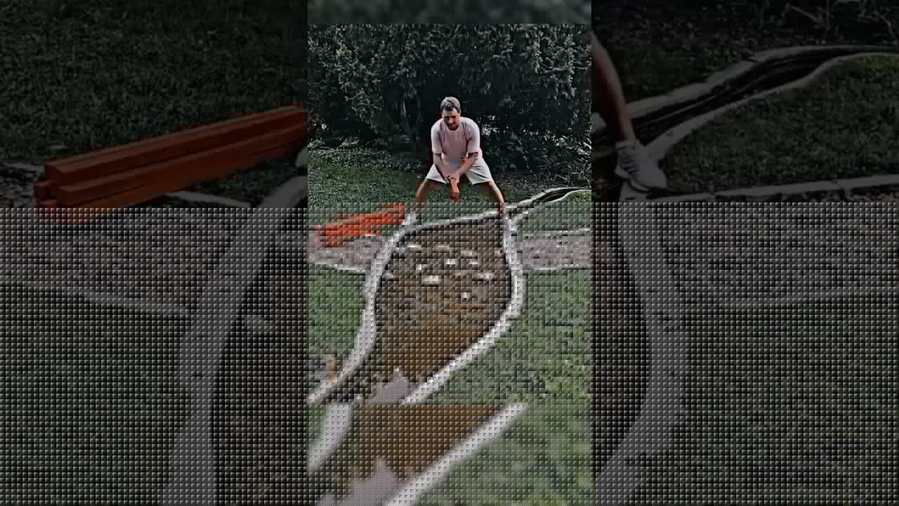 Da Vincis perfekte Brücke