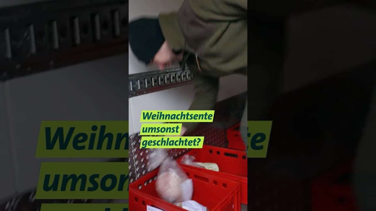 Weihnachtsente umsonst geschlachtet? #shorts #weihnachten #landleben
