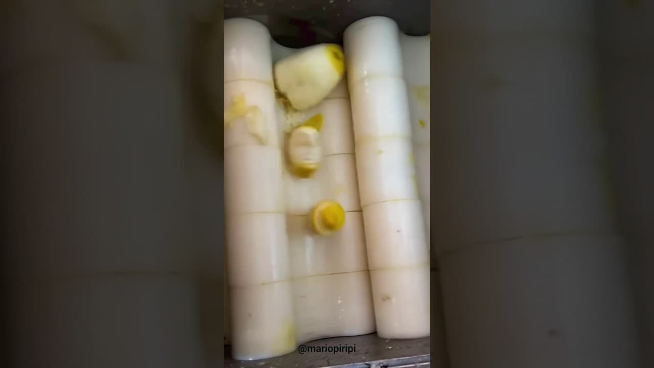 ¿Por Qué Nunca Te Rindes?#entretenimiento #shorts #reaccion #tiktok #clips