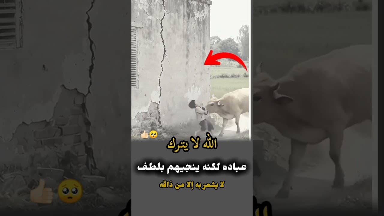 الله لا يترك عباده لكنه ينجيهم بلطف لا يشعر به إلا من ذاقه 🥺👍🏻❤