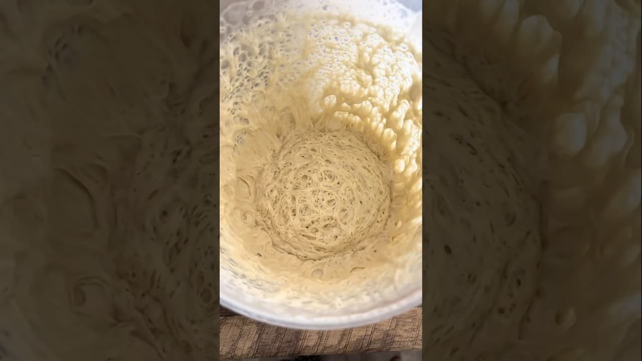 Lionfield ranks SOURDOUGH ASMR