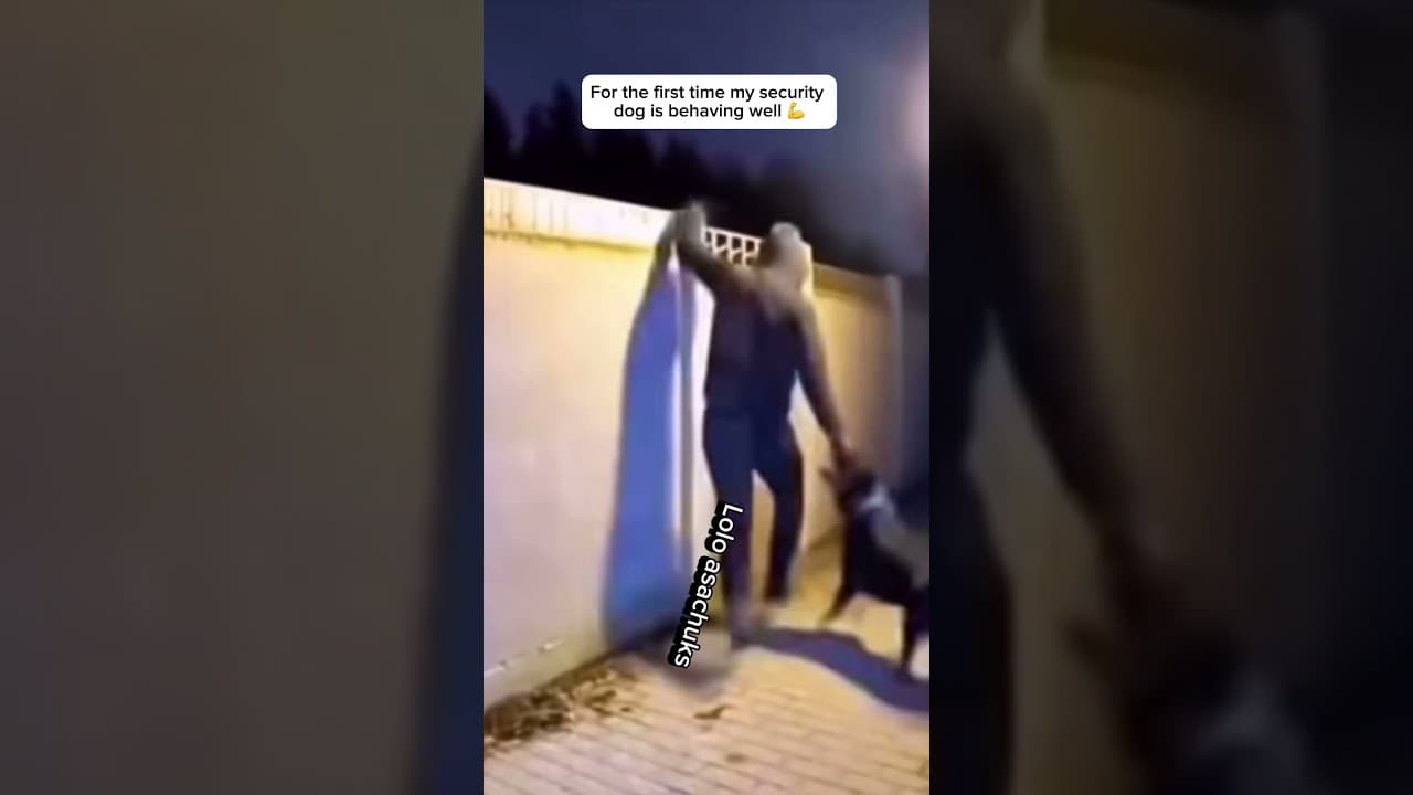 R0bbery gone wrong #funny #comedy #short