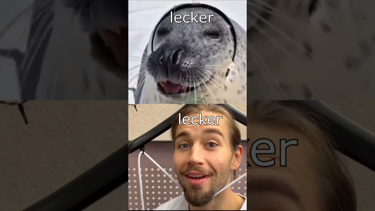 Die Dawgs tanzen #lustig #witzig #funny #tiere #animals #meme #lachen #happy #2homiedawgs