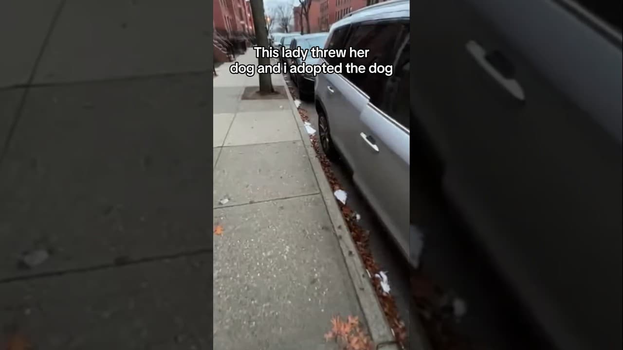 All this dog needed was only love ❤  #animals #wholesome