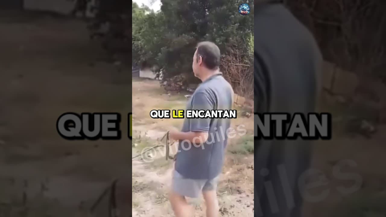 🔺 Un hombre increpa a Ábalos mientras está sacando a pasear a su perro #noticias #vitoquiles