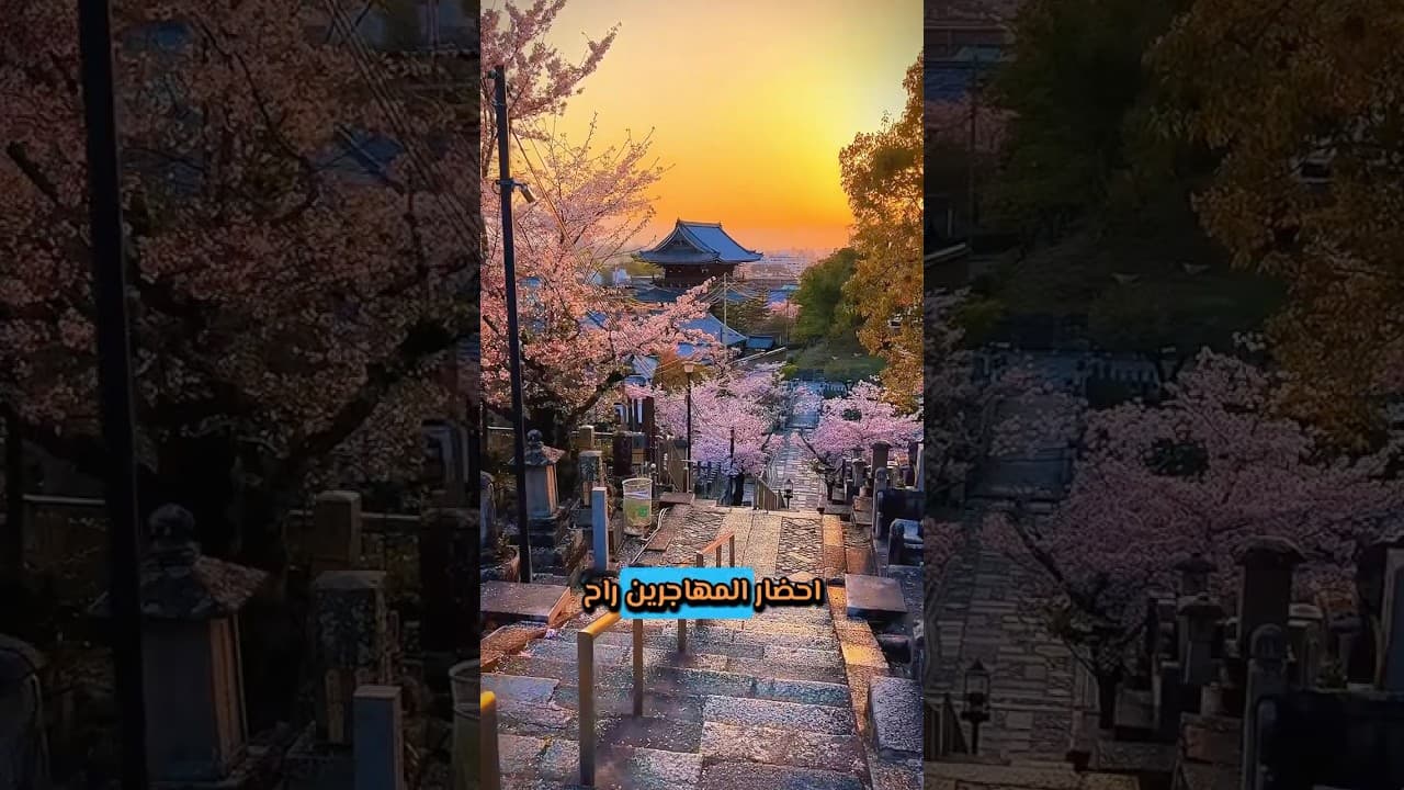 مظاهرات باليابان بسبب الهند 😱😳