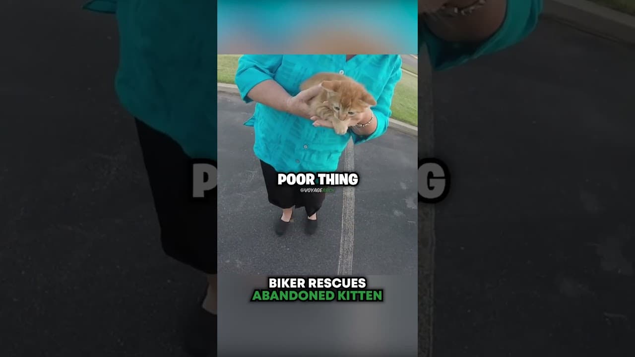 Biker SAVES Abandoned Kitten 🥹