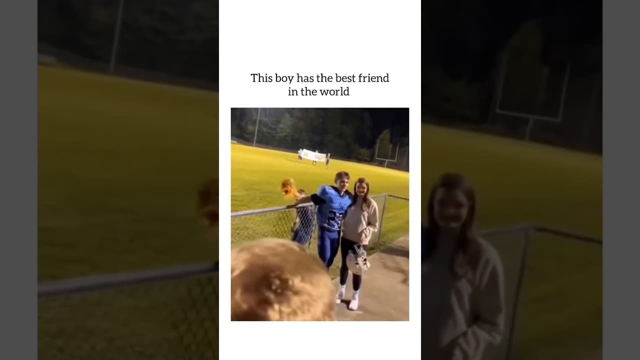 This boy has the best friend in the world