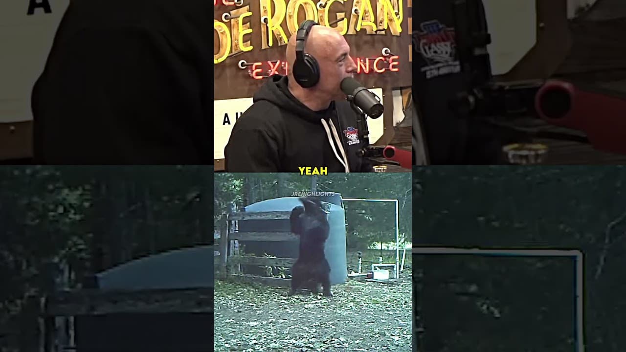 Joe Rogan Reacts to a Bear Getting hit in the Nuts