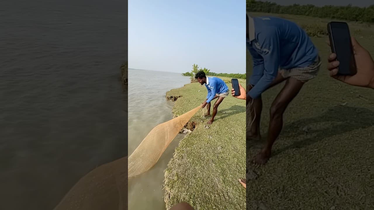 Catch a big fish #fishing #bigcatfeverrods #bigfish #fish #hugefish #funny #largefish