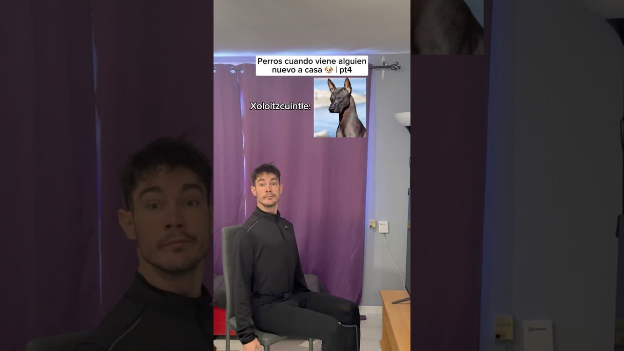 El último vive solo 🤣 #humorperros #humorviral #humormascotas #perrosderisa #memesdeperros