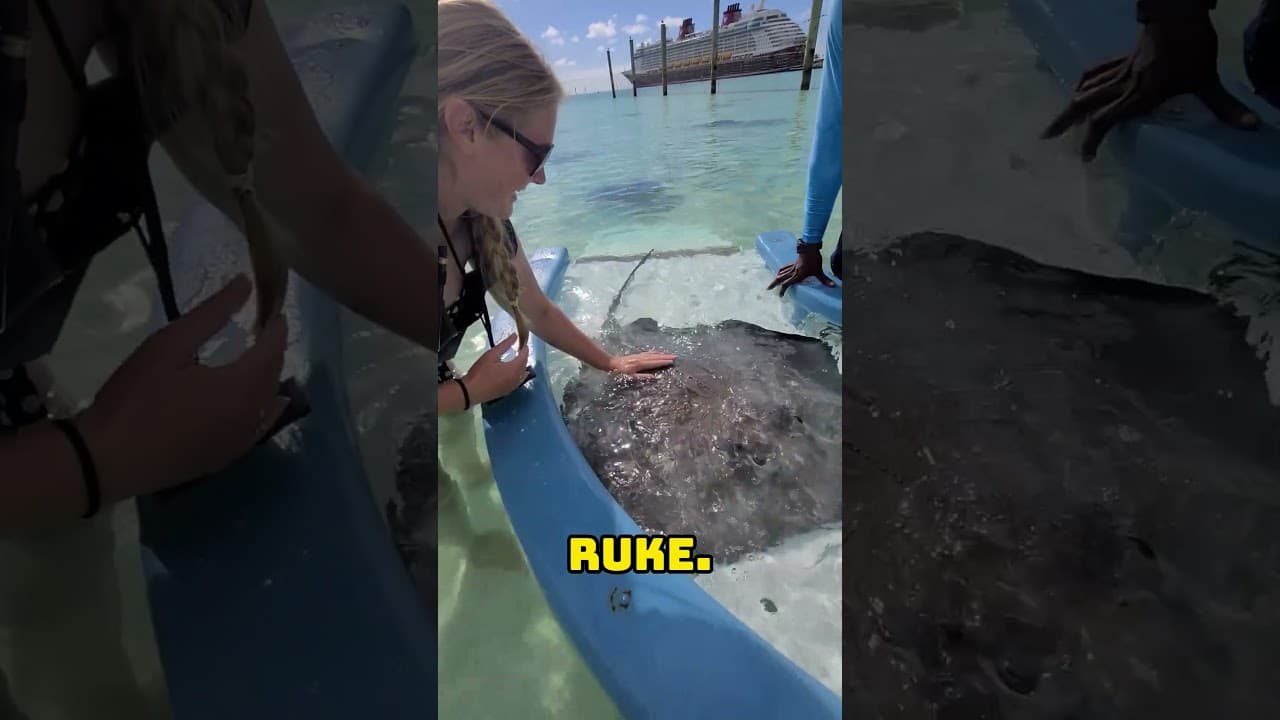 Hranila je divlju životinju iz ruke 🐠❤️ #balkan #trending