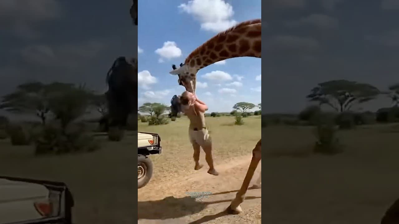 Giraffe Attack
