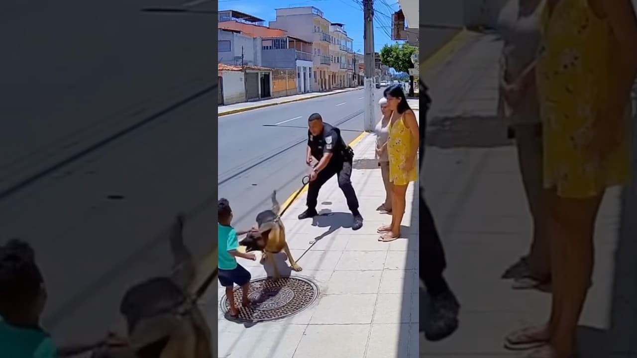 K9 Sente Cheiro da Explosão e Salva Criança Segundos Antes | NOVO VÍDEO INCRÍVEL!!!