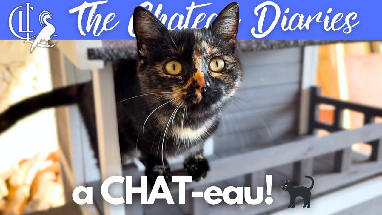 Creating a 2 STOREY Palace for the Cats | Winter Is Coming! ❄️🏰❄️