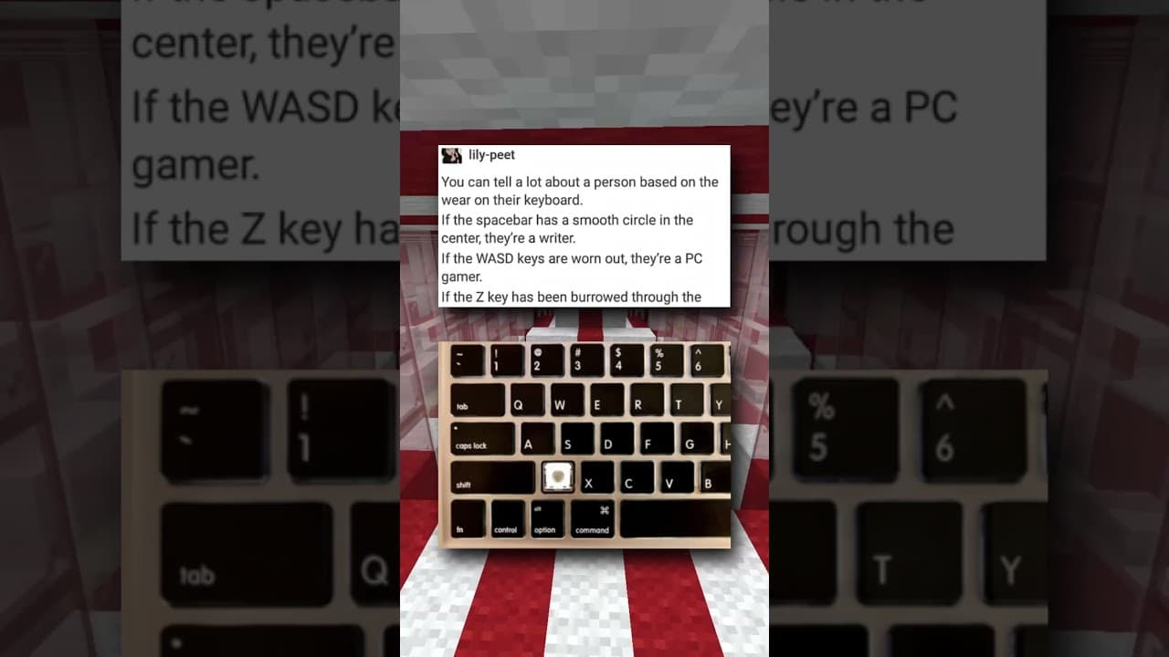 What Keyboard User are YOU?