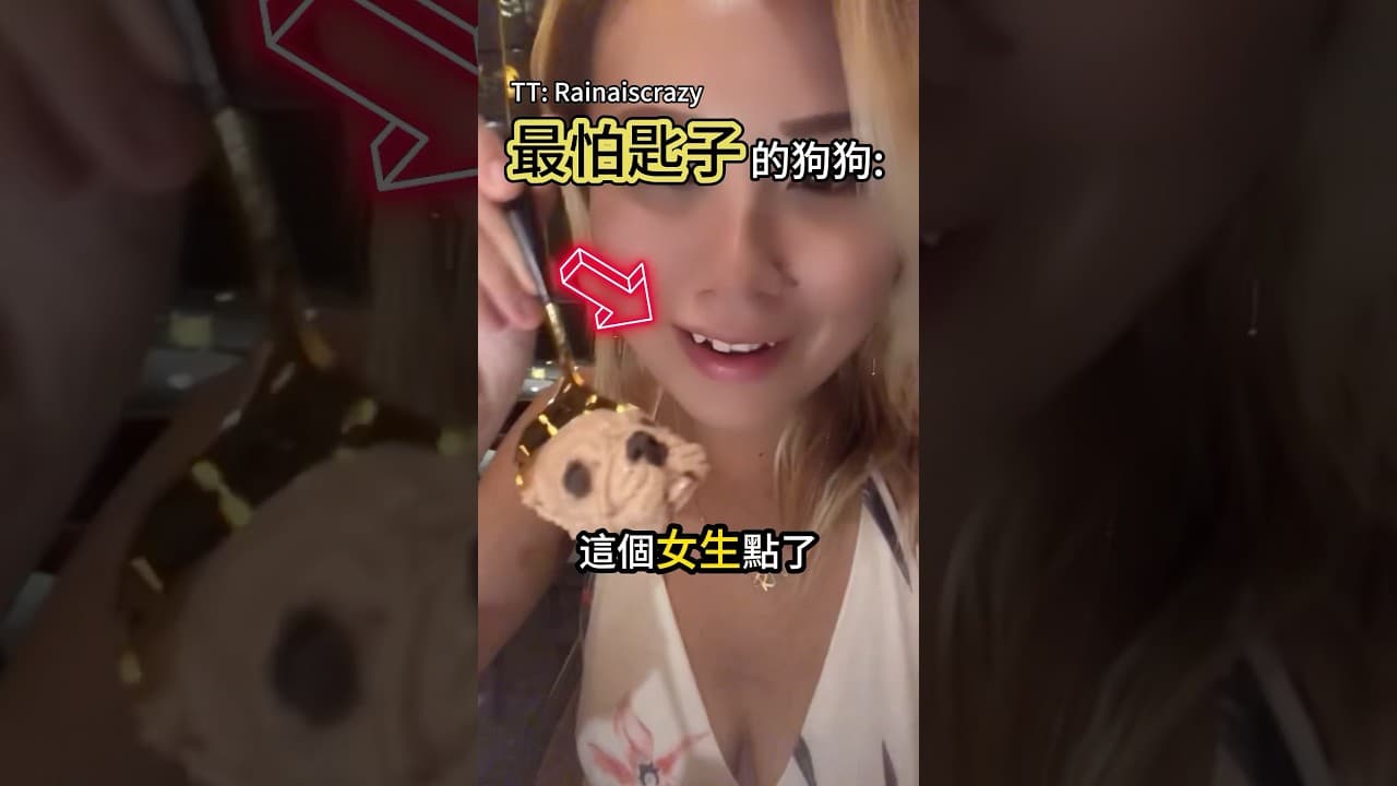 狗狗看見湯匙反應 讓大家笑翻🤣