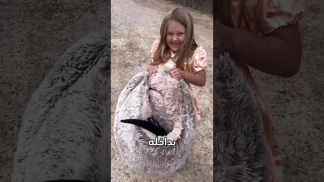 احذر من خداع صغير الكنغر بجيب مزيف!