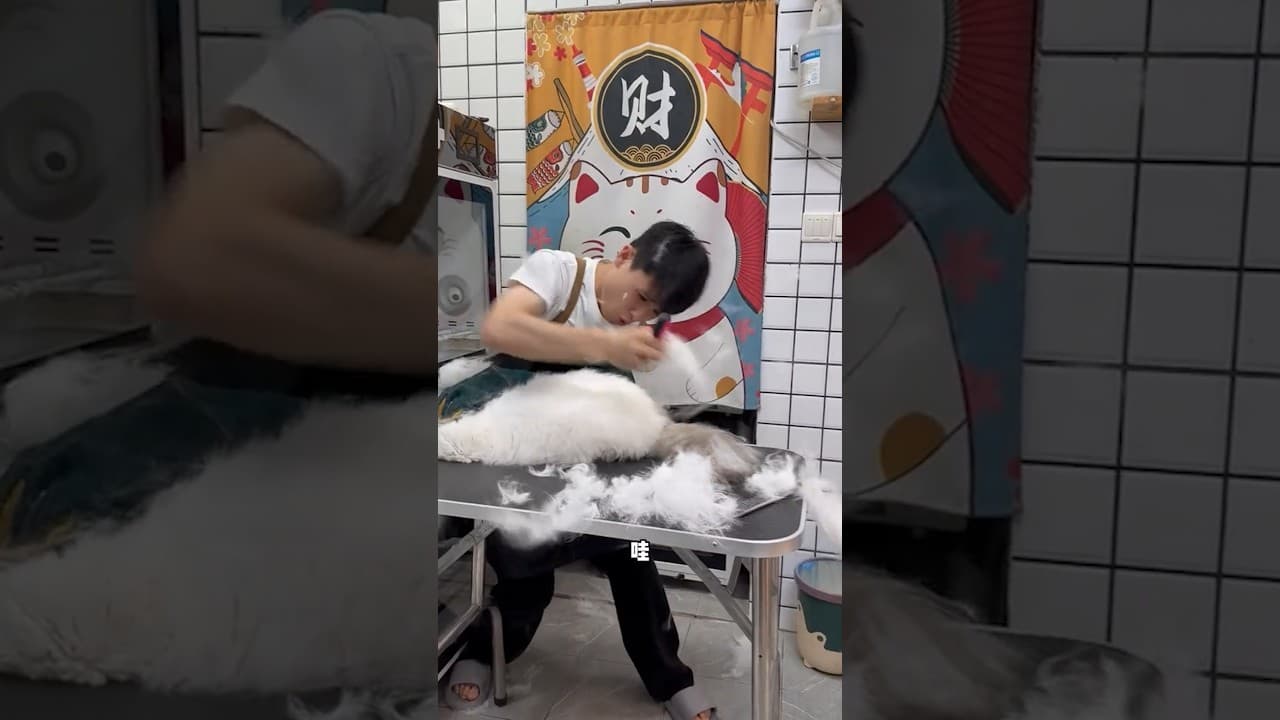 Is There Any Way to Stop This Crying Sound