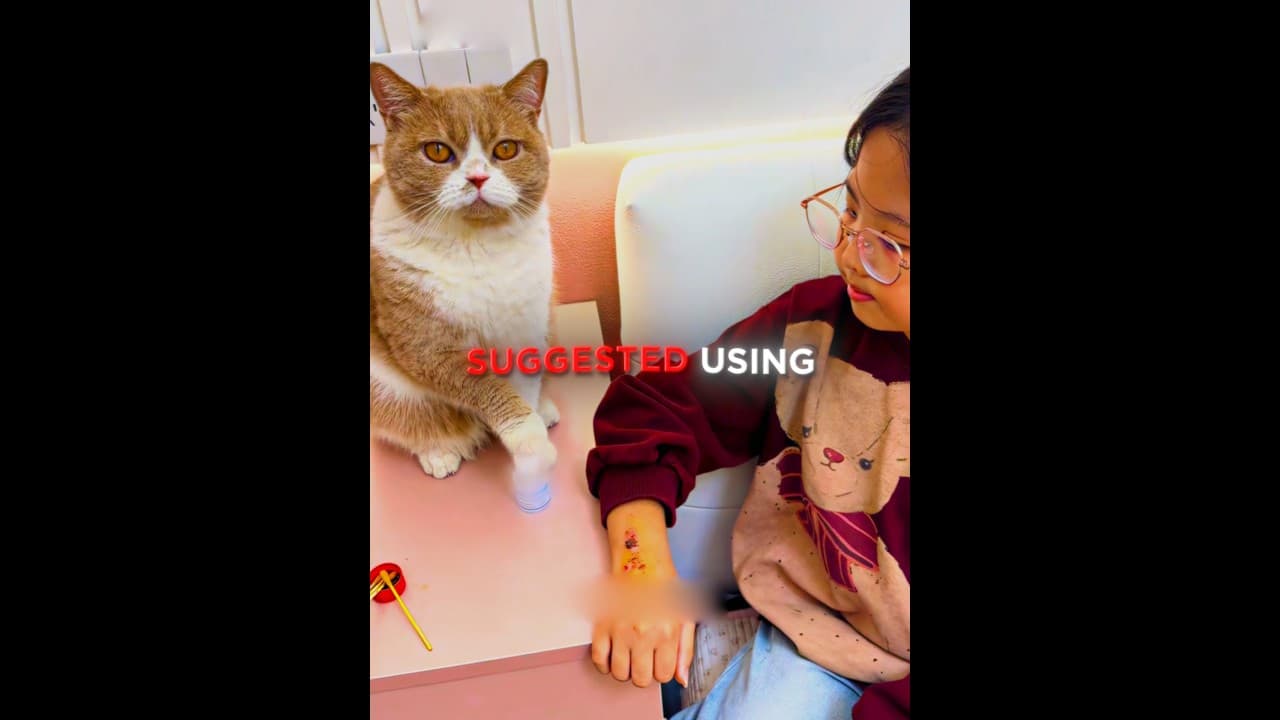 This Cat Is A True FRIEND 😻💚 #shorts