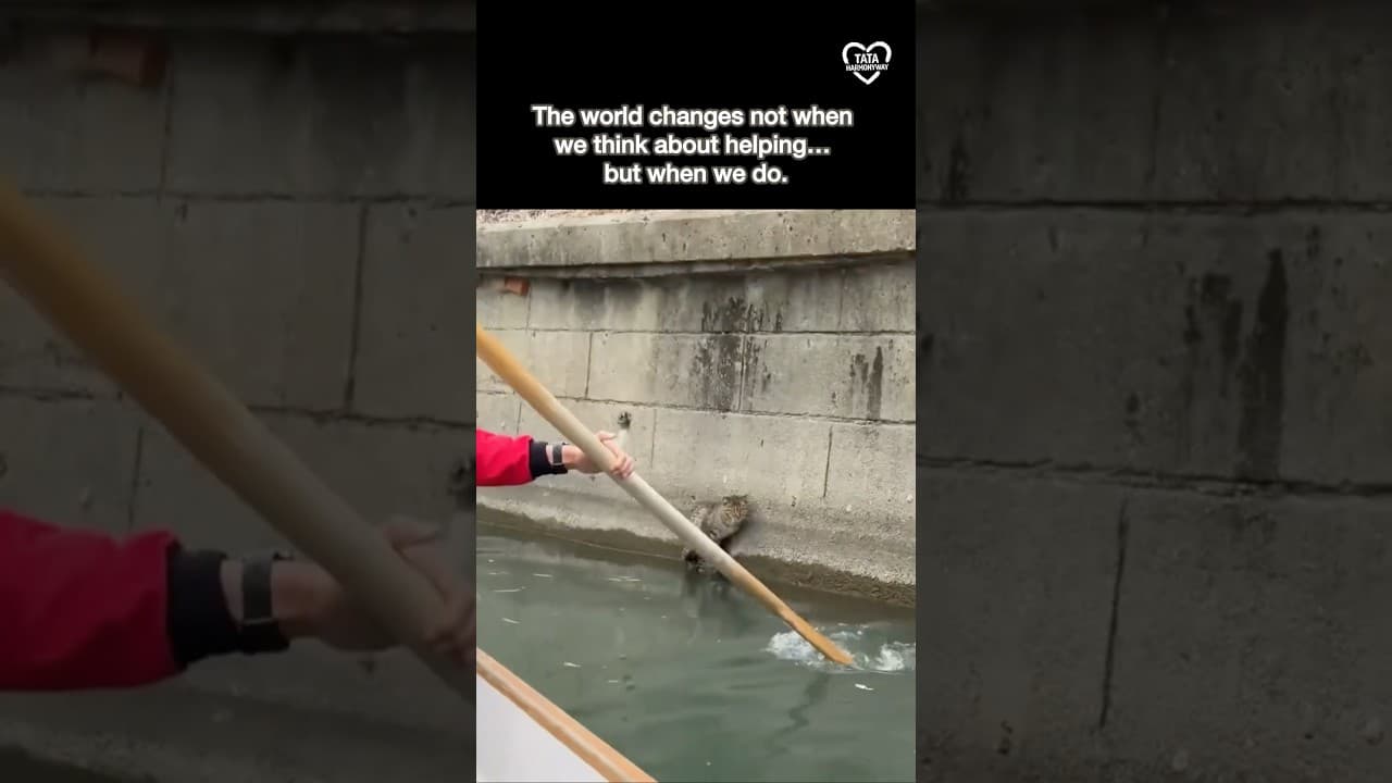 Kindness is the song the heart was always meant to sing.❤️ #kindnessmatters #inspiration