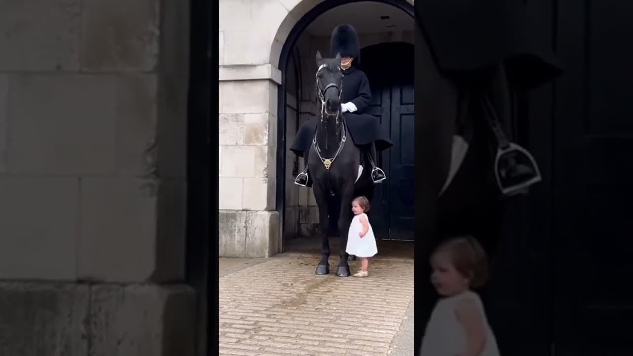 A Calm and ☺Beautiful Moment ❤Child a Man and a Horse🐴