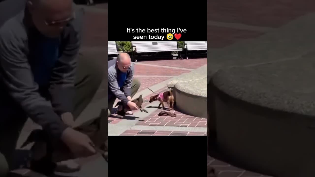 It's the best thing I've seen today 🥹❤️