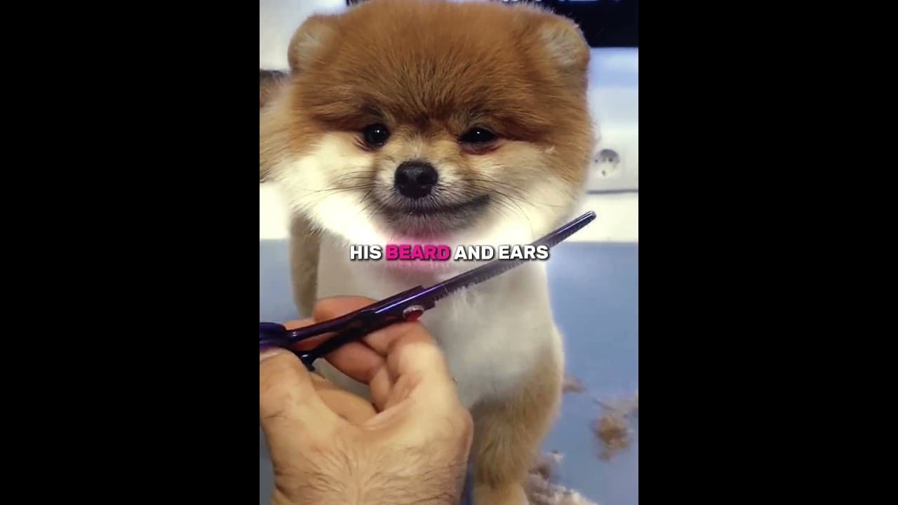 He Got Ready For Party!