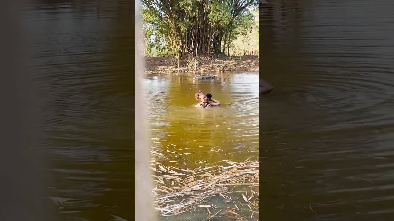 El cocodrilo 🐊 inflable | dañó el momento #humor #broma #shortvideo