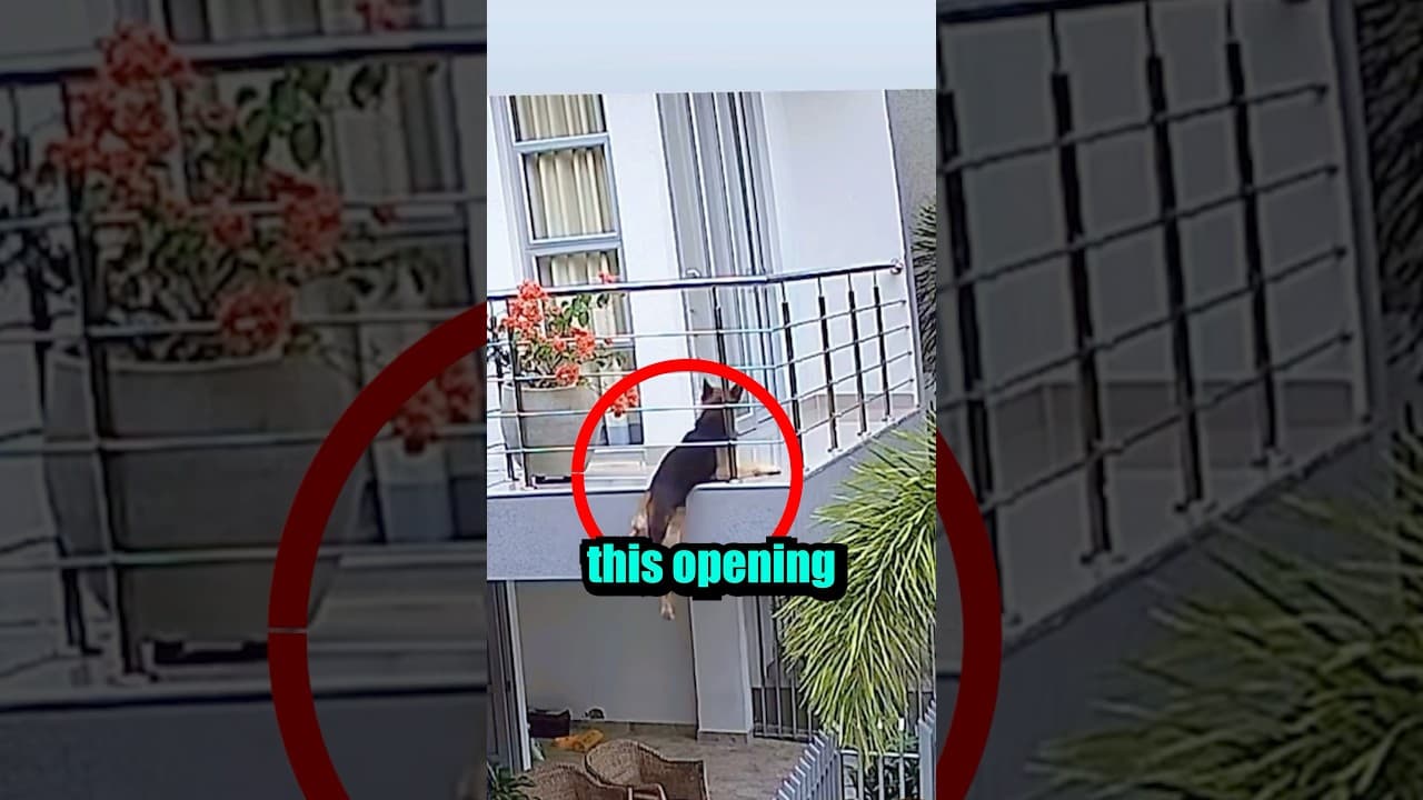 Do Not Click on the sound!