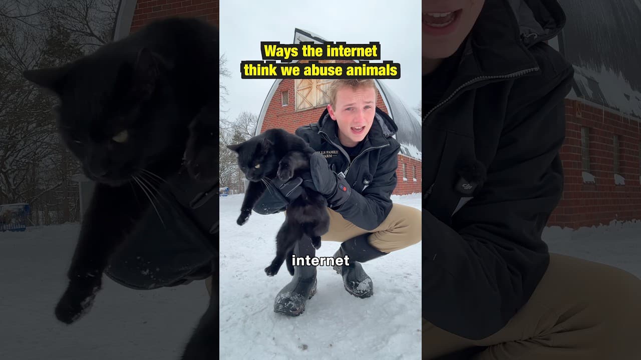 This is just the start of the people in my comment section…