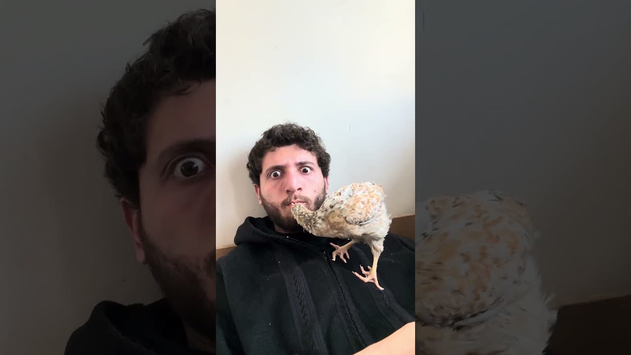 معقول يعملها !!؟