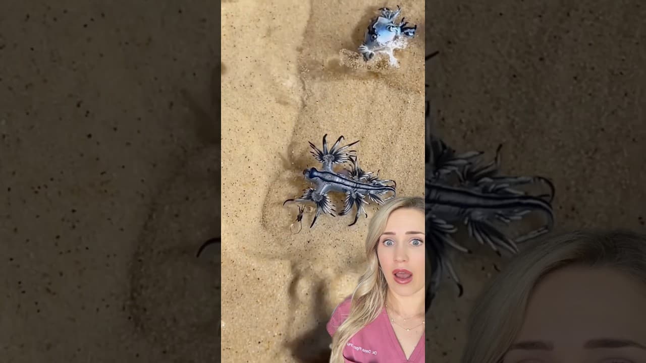 Doctor reacts: Most venomous in the WORLD