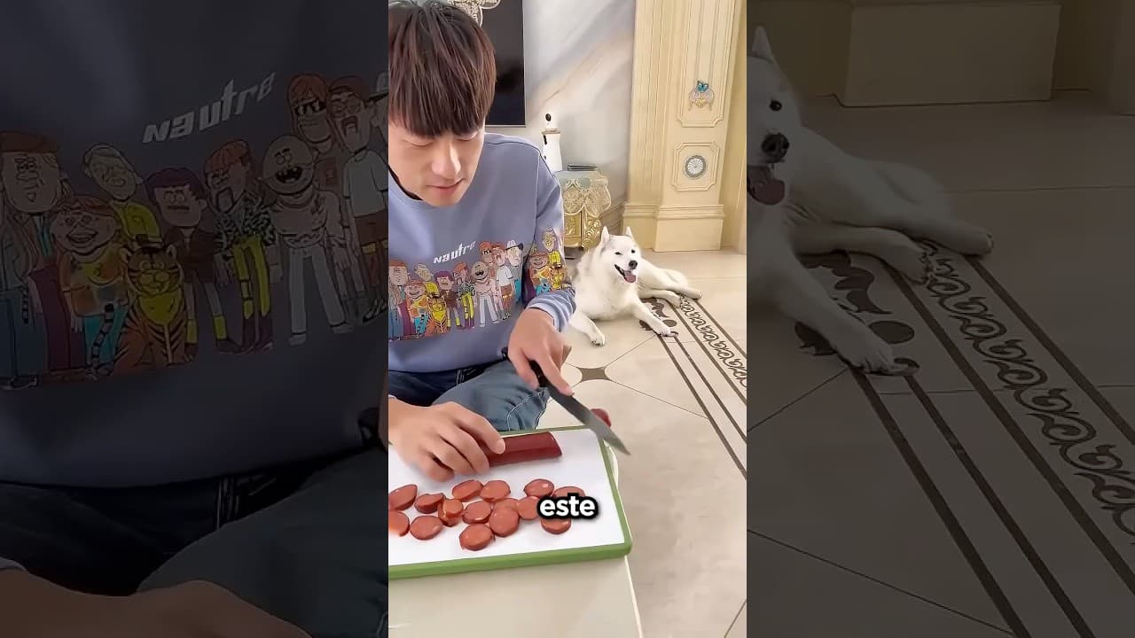 Este Perro Fue Más Listo Que Su Dueño 🥺🧠