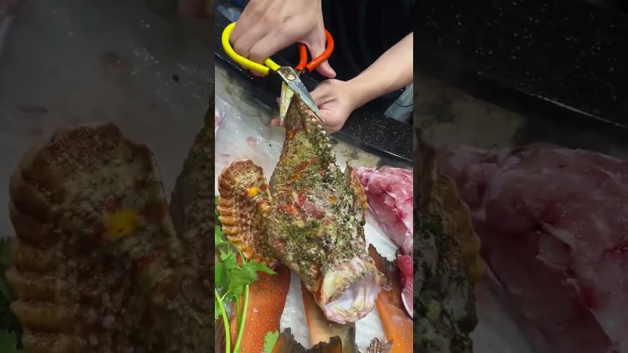 Deadly Stone Fish: The Most Venomous Fish in the World | Amazing Facts & Survival Tips"