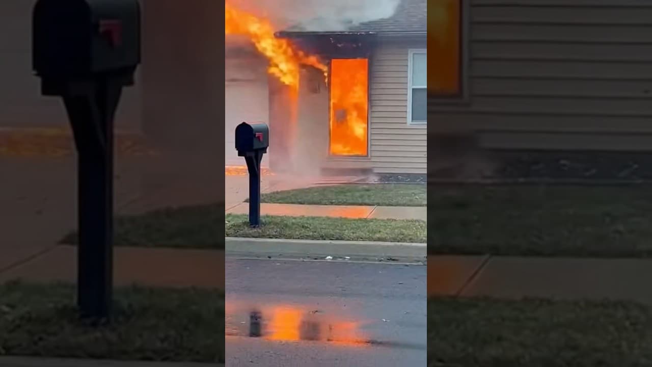 🔥 Brave Firefighter Saves Kitten Escaping House Fire #SiuMeowStudio #funnycats #catreaction
