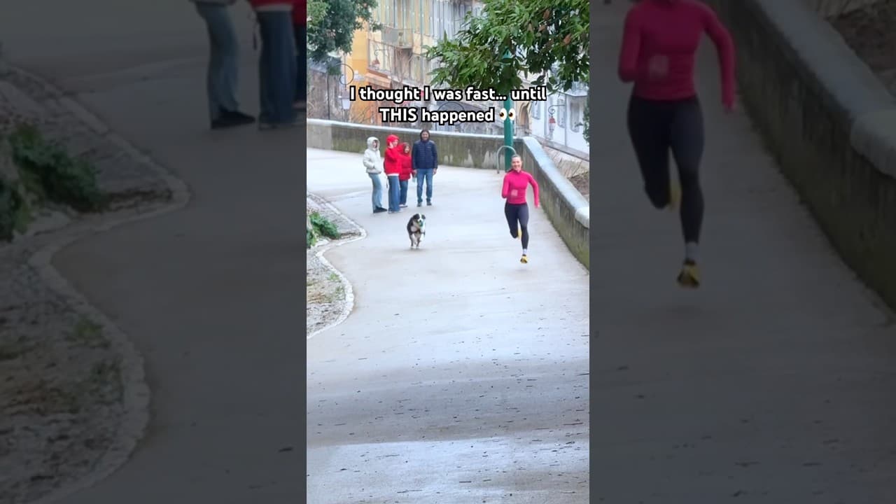 I was NOT READY for THIS…👀#race #running #dog #shorts