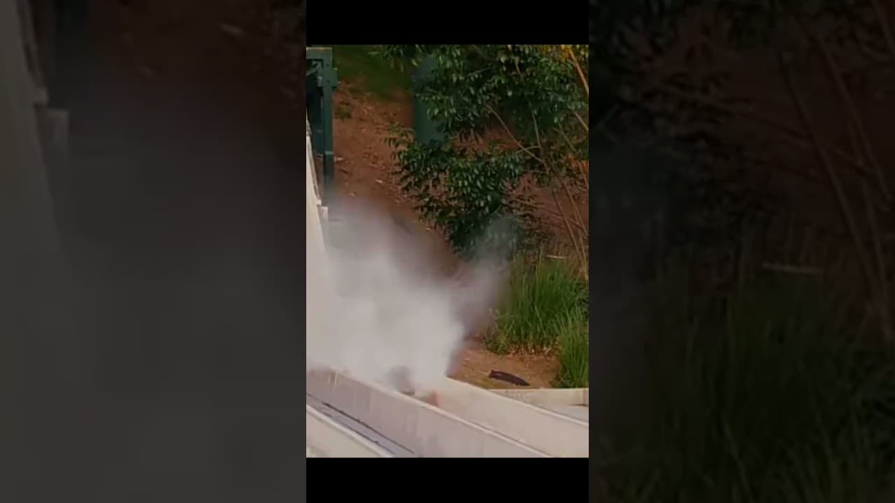 raputia quieras o no #humor #memes #ㅇyㅇ ,f