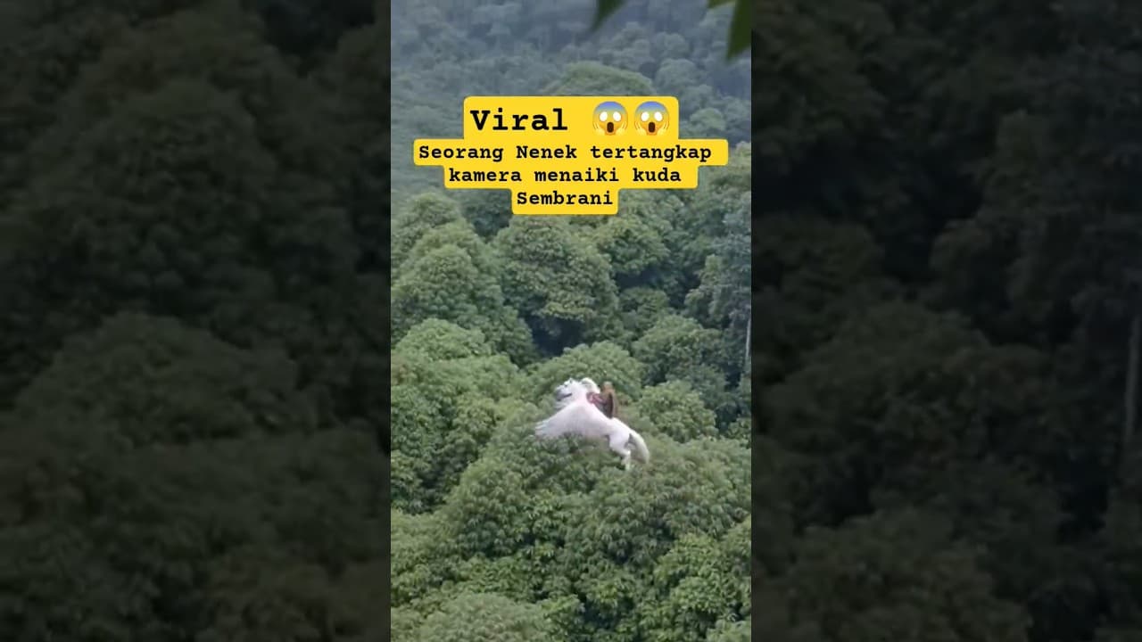 Ras Terkuat Di Bumi 😱😱😱#memes #shorts