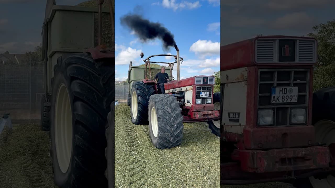TRACTOR GOES ONTO THE SILAGE WITH A TRAILER