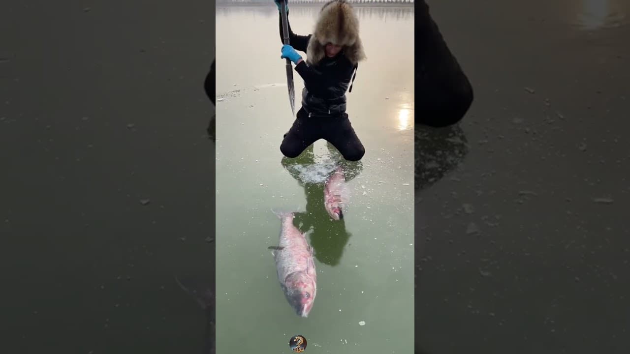 Der einfachste Weg, Fische zu fangen.