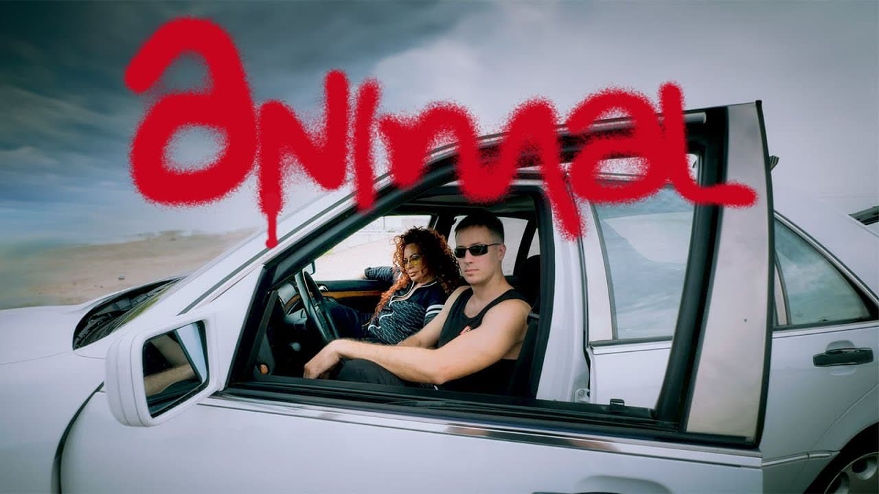 GAZDA PAJA x STOJA - ANIMAL [OFFICIAL VIDEO]