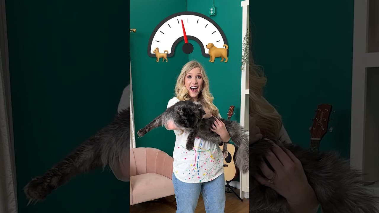 Holding Bigger and Bigger Animals 🐈🐕